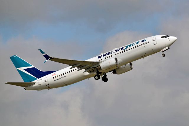 Boeing 737-800 (C-GZWS)