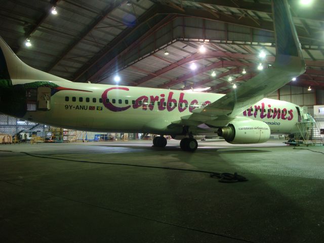 Boeing 737-800 (9Y-ANU) - Caribbean Airlines - Air Jamaica Relaxing @ Base