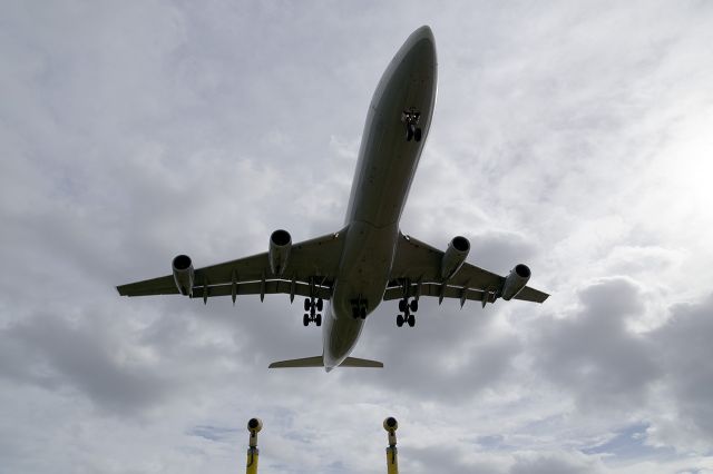 Airbus A340-300 (D-AIFD)