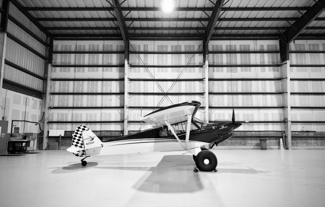 Piper L-21 Super Cub —