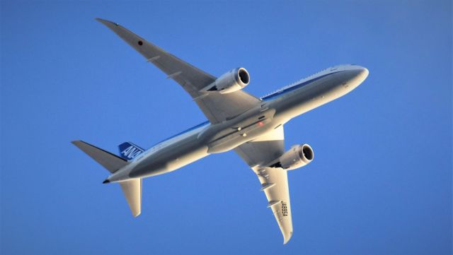 Boeing 787-8 (JA895A) - SEA - HND  12.22.20