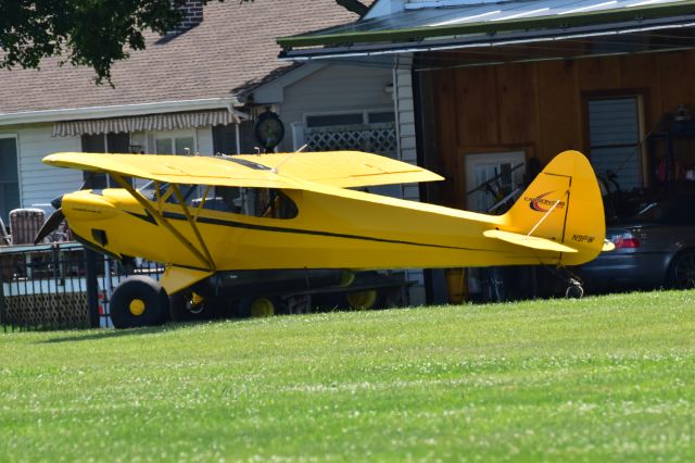 Piper L-18B Cub Special (N9PW) - great cub