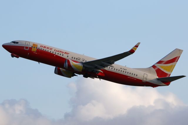 Boeing 737-800 (B-7167)