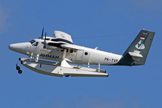 De Havilland Canada Twin Otter (PK-TVP) - "Amman Mineral" livery