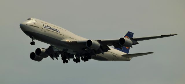 BOEING 747-8 (D-ABYQ) - UFTHANSA