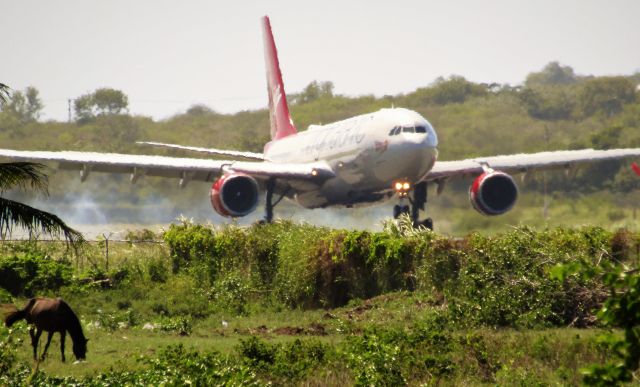 Airbus A330-200 (G-VMNK)