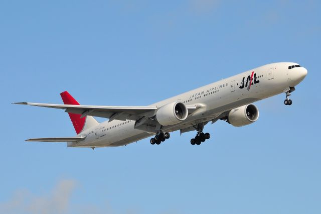 BOEING 767-300 (JA738J)