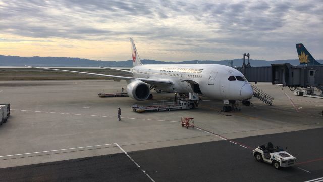 Boeing 787-8 (JAL813)