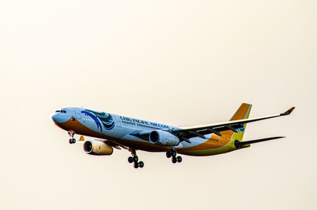 Airbus A330-300 (RP-C3344) - Cebu Pacific A330-343 on finals into YMML lit up by the afternoon sunlight