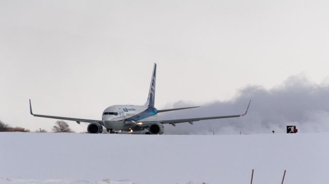 Boeing 737-800 (JA81AN) - All Nippon Airways / Boeing 737-881br /Jan.11.2016 Hakodate Airport [HKD/RJCH] JAPAN