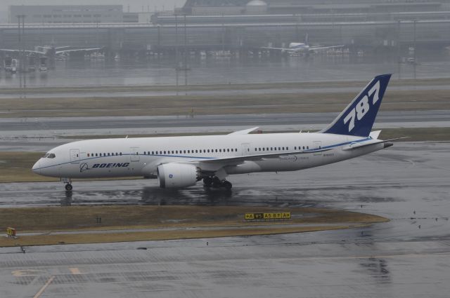 Boeing 787-8 (N787FT) - Taxi at Haneda Intl Airport on 2012/03/02