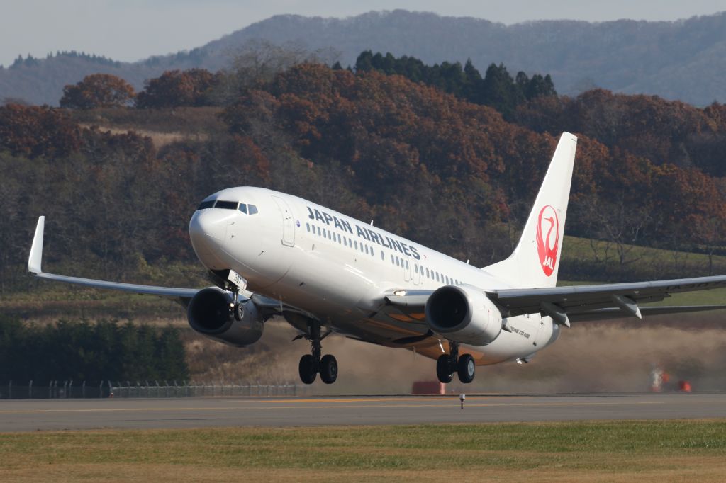 Boeing 737-800 (JA307J) - 03 November 2015:HKD-HND.
