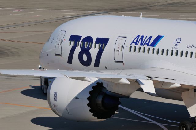 Boeing 787-8 (JA802A) - 2011/12/24