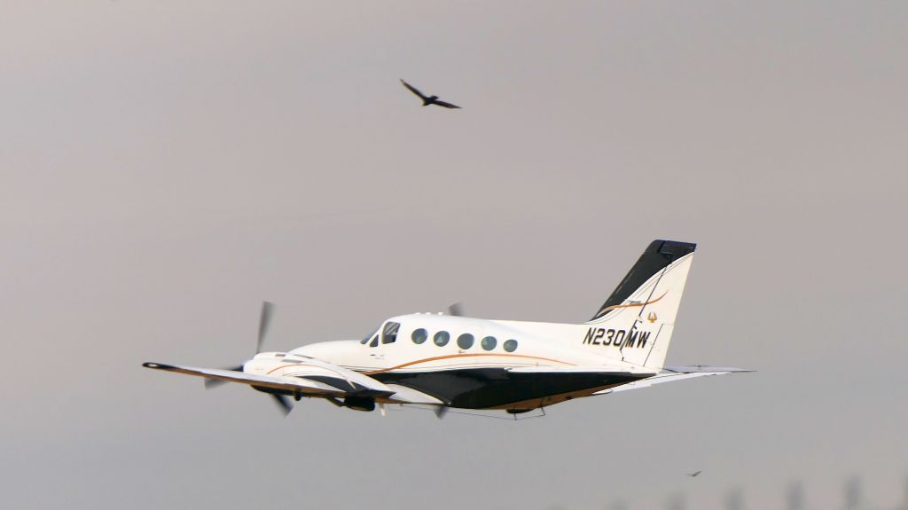 Cessna 421 (N230MW)