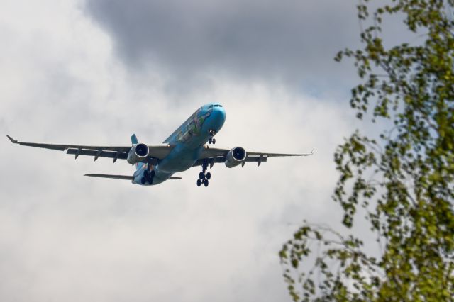 Airbus A330-300 (B-5976)