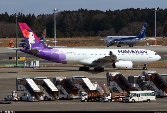 Airbus A330-200 (N390HA)