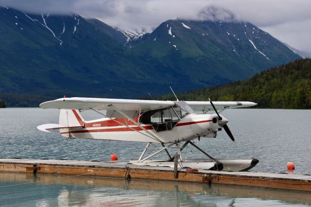 Piper L-21 Super Cub (N5767D) - On dock facing north