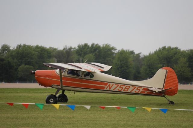 Cessna 170 (N75875) - On flightline.