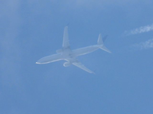 Boeing 737-900 (N66837) - UAL309