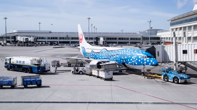 BOEING 737-400 (JA8939) - “whale shark livery”br /Japan Transocean Air(JTA)　/ Boeing737-4Q3　　br /Jun.24.2016 Naha Airport [OKA/ROAH] JAPAN