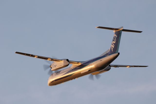 de Havilland Dash 8-400 (JA842A) - October 5th 2017:HKD-CTS.