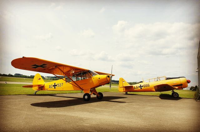 Piper L-21 Super Cub (D-EDFT)