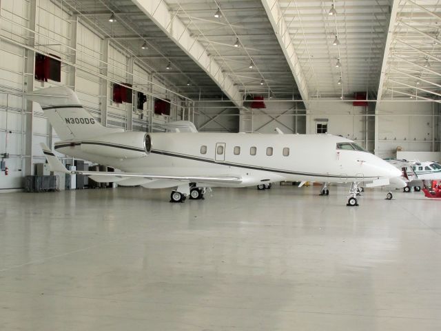 Bombardier Challenger 300 (N300DG)