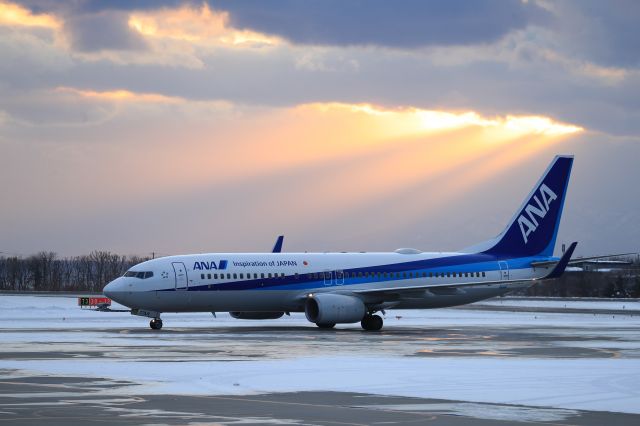 Boeing 737-800 (JA77AN) - January 4th 2019:HKD-ITM.