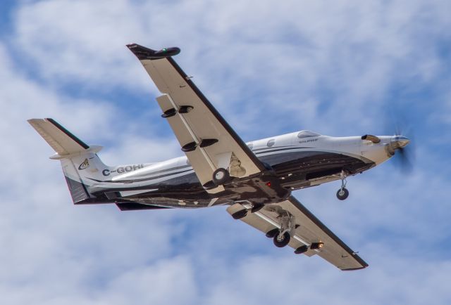 Pilatus PC-12 (C-GOHI) - Aviation Starlink Inc.