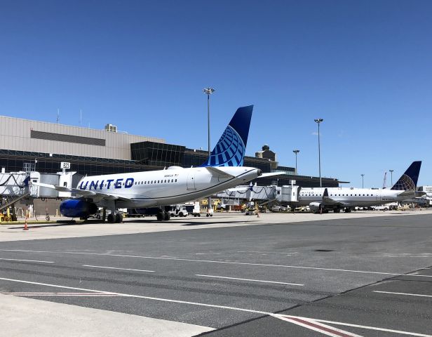 Airbus A319 (N881UA) - Freshly painted and just delivered to United Airlines 06/16/20 @ KBOS Loganbr /best seen in full size