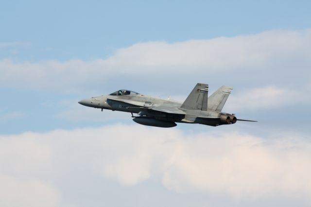 McDonnell Douglas FA-18 Hornet —
