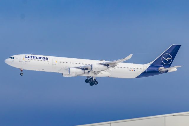 Airbus A340-300 (D-AIGY) - A Lufthansa A340-300 landing at DFW on 11/25/22. Taken with a Canon 850D and Tamron 150-600 G2 lens.