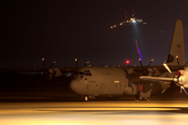 Lockheed C-130 Hercules (13-0603) - hakodate airport  hokkaido japan