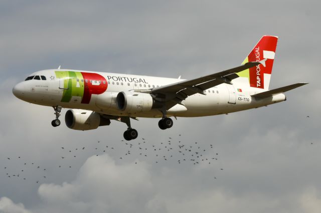 Airbus A319 (CS-TTO)