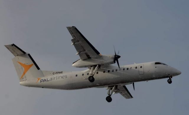 de Havilland Dash 8-100 (C-FPAE)