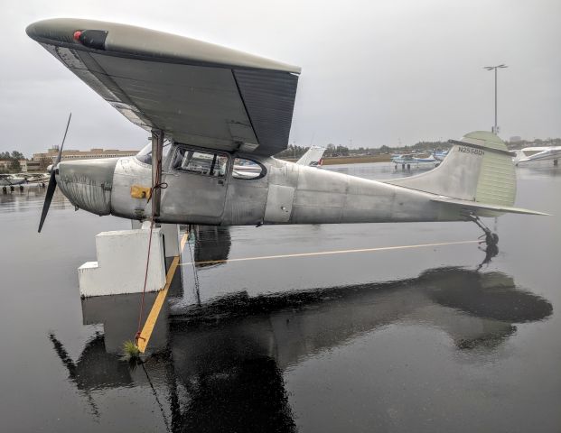 Cessna 170 (N2558D) - Merrill Field tie-down lot, Anchorage, AK in the driving rain.