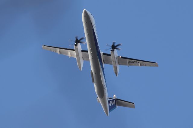 de Havilland Dash 8-400 (JA855A) - April 20th 2019:CTS-HKD.