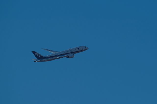 Boeing 787-8 (JA834A)