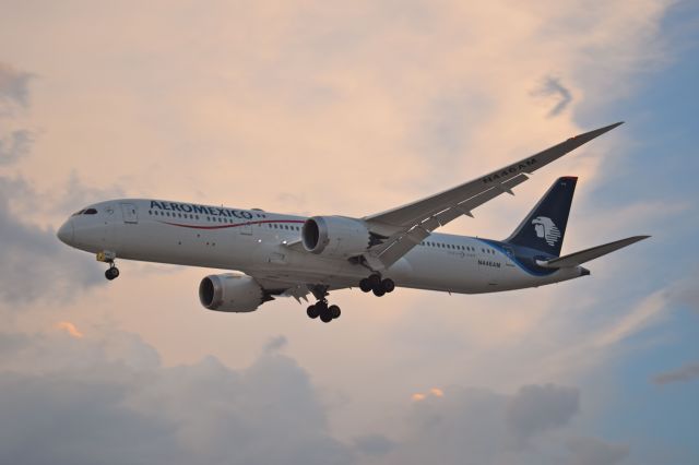 Boeing 787-9 Dreamliner (N446AM) - Boeing B787-9 Dreamliner N446AM MSN 39292 on final to Mexico City International Airport´s runway 05R (04/2019).