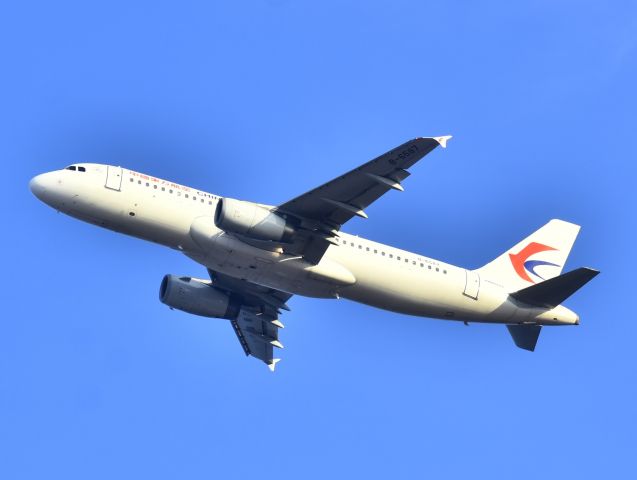 Airbus A320 (B-6587)