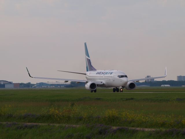 Boeing 737-700 (C-GWSY)