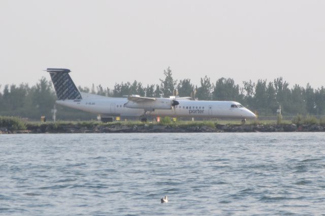 de Havilland Dash 8-400 (C-GLQG) - Taxiing to gate after landing at Toronto City Airport