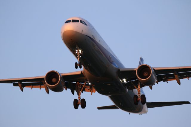 Airbus A321 (JA112A) - June 13th 2019;HND-HKD.