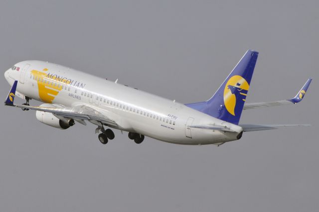 Boeing 737-800 (EI-CXV)