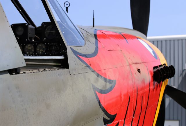 CURTISS Warhawk (N1195N) - Warbird Roundup 2018 at Warhawk Air Museum, Nampa, ID, 25 Aug 18