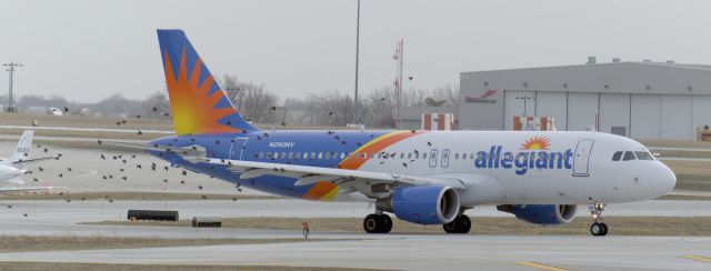 Airbus A320 (N290NV) - BIRDS, BIRDS, BIRDS