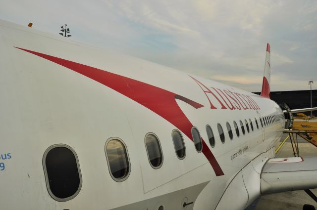 Airbus A319 (OE-LDC) - Austrian Airlines Airbus A319-112 OE-LDC in Vienna 