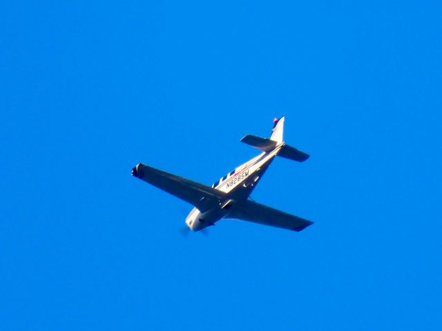 Beechcraft Bonanza (36) (N8285M)