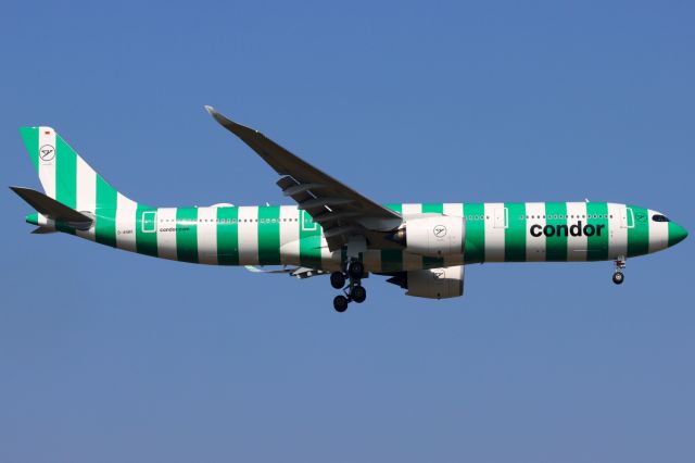 Airbus A330-900 (D-ANRK)