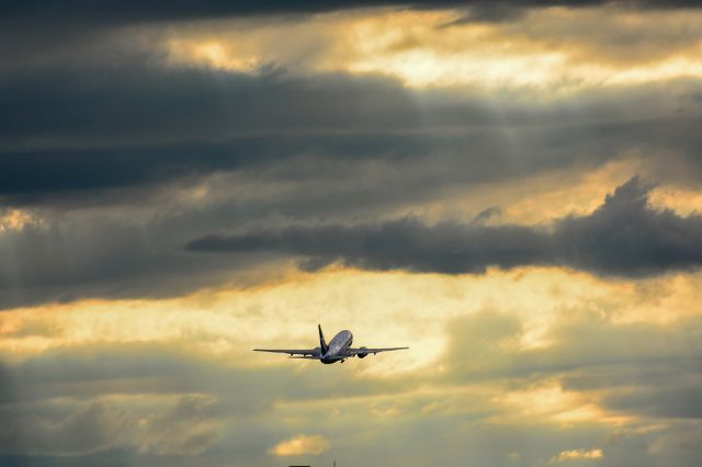 Boeing 737-700 (C-FWSF)